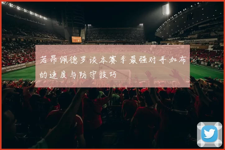 若昂佩德罗谈本赛季最强对手加布的速度与防守技巧